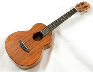 Tenor ukulele aNueNue UT1K Bird (Celomasivní koa tenor s kufrem)