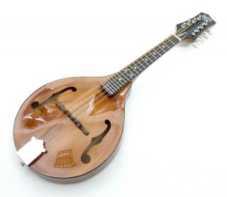 Wimborne mandolína BARNES  MULLINS BM 600 (Lesklá "Wimborne" mandolína)