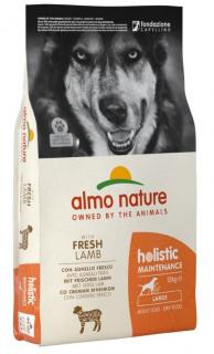 Almo Nature Holistic DRY DOG Large Adult Lamb and Rice 12 kg