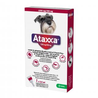 ATAXXA pro psy L 1x1250mg/250mg sol 1 x 2.5 ml