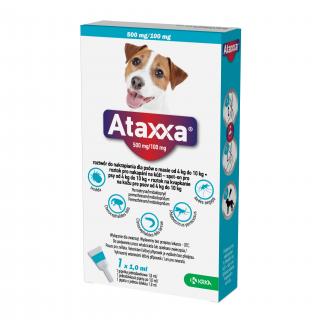 ATAXXA pro psy M 1x500mg/100mg sol 1 x 1.0 ml