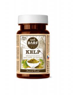 CANVIT Barf Kelp 60g