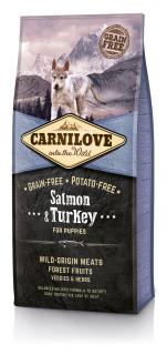 Carnilove Dog Salmon & Turkey for Puppies 12 kg