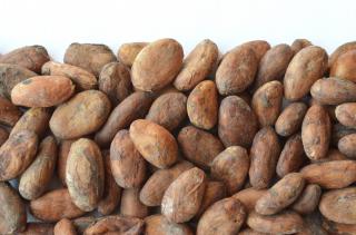 Přírodní kakaové boby nepražené 50g hmotnost: 200g