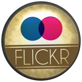 Button - placka Flickr