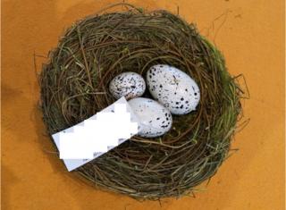 Dekorace | hnízdo s vajíčky