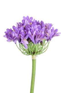 Květina Kalokvět umělá fialová