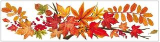 Okenní fólie barevné podzimní listy C