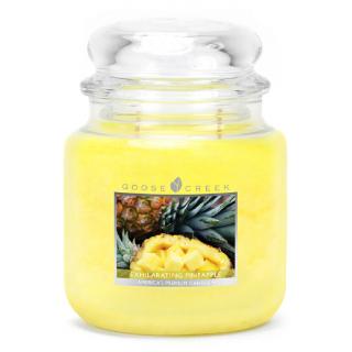 Svíčka ve skle | Vzrušující ananas | 450g