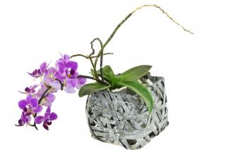 Hranatý květináč z dýhy šedý s igelitovou vložkou Rozměry (cm): 12x12, v. 11