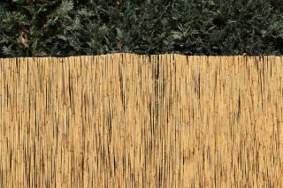 Rákosová zástěna na plot Výška plotu: 100 cm, Délka plotu: 600 cm