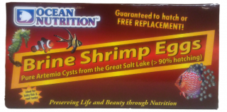 Brine Shrimp Eggs 20g