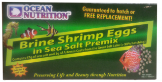 Brine Shrimp Eggs Pre-Mix 50g
