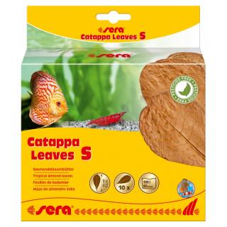 Sera Catappa Leaves S 14 cm (10ks)