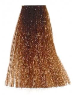 BES Hi-Fi Hair Color Krémová barva na vlasy 100ml - Tmavá blond intenzivní 6-00