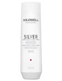 GOLDWELL Dualsenses Silver Shampoo 250ml - šampon proti žlutým tónům blond vlasů