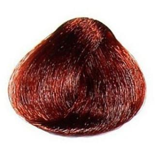 SELECTIVE Barvy Cream Colorante barva na vlasy Purpurově hnědá 4-65