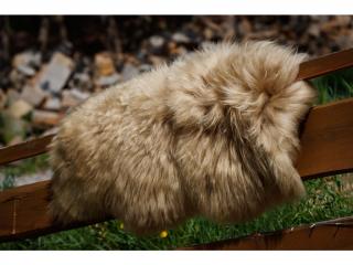 Ovčí kůže islandská ovce, latté 120 x 80 cm
