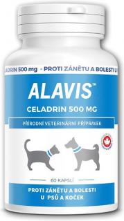 Alavis Celadrin pro psy a kočky 60cps 500mg (Moderní přípravek na podporu normálních funkcí pohybového aparátu u psů a koček.)