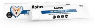 Aptus Recobooster Dog 100g (Pasta pro doplnění energie, určená pro psy v období rekonvalescence, psy v intenzivním výcviku a pacienty s nádorovým onemocněním.)