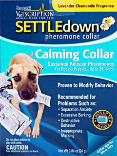 SETTLEdown – uklidňující feromonový obojek pro psy a štěňata (Obojek který upravuje problémové chování psů. Potlačuje úzkost, destruktivní chování, nadměrné značkování a štěkání.)