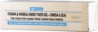 VitaminMineral Energy Paste-Gel + Omega 6  Taurin for Dog - 120g (Zdroj energie pro štěňata, březí a kojící feny a pro nemocné psy.)