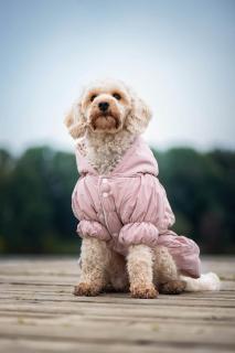 Aida zimní bunda pro psa Barva: Růžová, Délka zad (cm): 34, Obvod hrudníku: 48 - 60 cm
