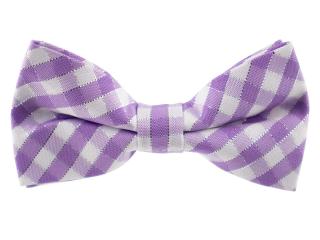 Britain fialový károvaný motýlek pro psa | 21 - 42 cm Barva: Fialová