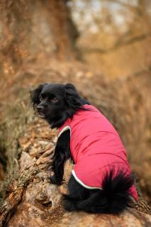 Celine zimní bunda pro psa Barva: Vínová, Délka zad (cm): 23, Obvod hrudníku: 26 - 28 cm