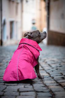 Dasty bunda pro psa s reflexními prvky Barva: Vínová, Délka zad (cm): 27, Obvod hrudníku: 34 - 46 cm