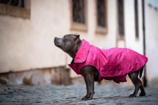 Dasty bunda pro psa s reflexními prvky Barva: Vínová, Délka zad (cm): 59, Obvod hrudníku: 68 - 96 cm