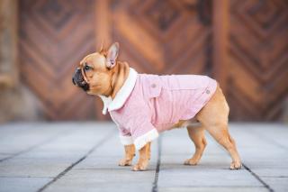 Deril manšestrová bunda pro psa Barva: Růžová, Délka zad (cm): 39, Obvod hrudníku: 48 - 52 cm