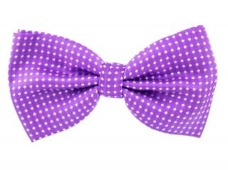 Elegant fialový motýlek pro psa s puntíky | 25 - 42 cm
