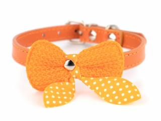 Fashion obojek s motýlkem | 18 - 36 cm Barva: Oranžová, Obvod krku: 18 - 23 cm