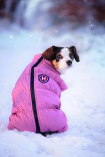 Lira teplá kombinéza pro psa Barva: Růžová, Délka zad (cm): 34, Obvod hrudníku: 36 - 61 cm