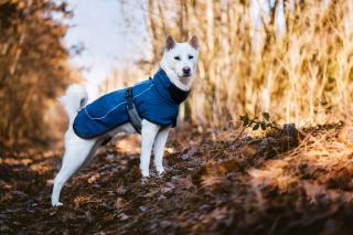 Maka zimní bunda pro psa Barva: Modrá, Délka zad (cm): 38, Obvod hrudníku: 54 - 60 cm