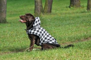 Max zimní károvaná bunda pro psa Barva: Černo-bílá, Délka zad (cm): 20, Obvod hrudníku: 34 - 38 cm
