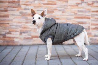 Mix zimní bunda pro psa Barva: Šedá, Délka zad (cm): 41, Obvod hrudníku: 46 - 56 cm