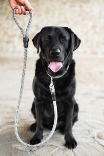 Nylonové vodítko pro psa | 128 cm Barva: Černá, Šířka vodítka: 1,4 cm