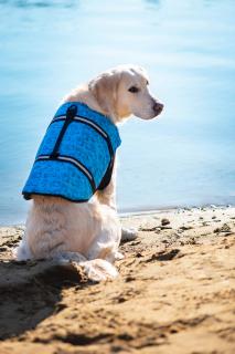 Orsa modrá plovací vesta pro psa Délka zad (cm): 48, Obvod hrudníku: 82 - 102 cm