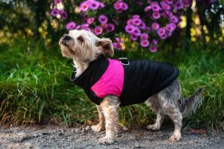 Slim-rainy obleček pro psa na zip Barva: Černo-růžová, Délka zad (cm): 53, Obvod hrudníku: 65 - 70 cm