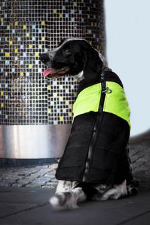 Slim-rainy obleček pro psa na zip Barva: Černo-žlutá, Délka zad (cm): 53, Obvod hrudníku: 65 - 70 cm