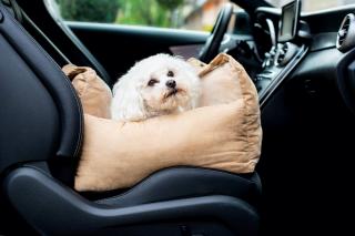 Sorel béžová autosedačka pro psa