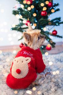 Trinid vánoční mikina pro psa Barva: Červená, Délka zad (cm): 28, Obvod hrudníku: 39 - 44 cm