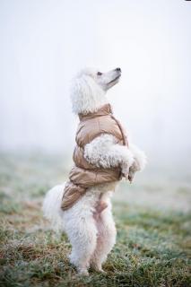 Warm zimní bunda pro psa s kožichem Barva: Béžová, Délka zad (cm): 30, Obvod hrudníku: 30 - 40 cm