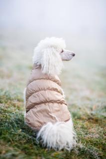 Warm zimní bunda pro psa s kožichem Barva: Béžová, Délka zad (cm): 33, Obvod hrudníku: 36 - 46 cm