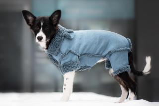 Wolker zimní kombinéza pro psa Barva: Modrá, Délka zad (cm): 27, Obvod hrudníku: 32 - 36 cm