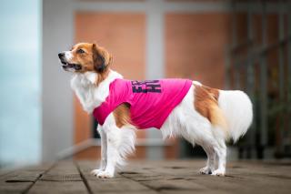 Zala letní tričko pro psa Barva: Růžová, Délka zad (cm): 19, Obvod hrudníku: 24 - 28 cm
