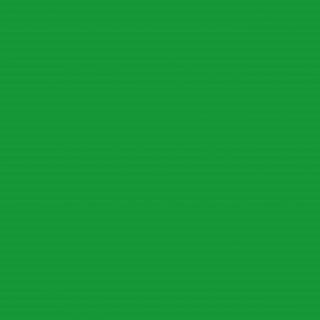 Akrylové barvy Campus - 100ml odstín: 38. Permanent Green Light 817