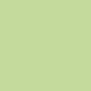 Akrylové barvy Campus - 100ml odstín: 39. Pastel Green 006